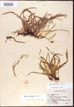 000010676-thumbnail.jpg