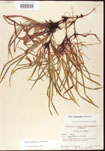 000010677-thumbnail.jpg