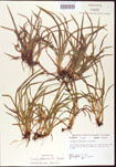 000010678-thumbnail.jpg
