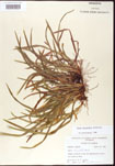 000010680-thumbnail.jpg