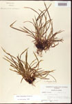 000010681-thumbnail.jpg