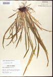 000010682-thumbnail.jpg