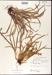 000010683-thumbnail.jpg