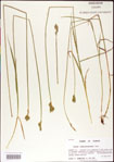 000010704-thumbnail.jpg