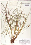000010709-thumbnail.jpg