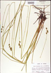 000010710-thumbnail.jpg