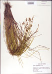 000010712-thumbnail.jpg