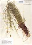 000010714-thumbnail.jpg
