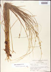 000010715-thumbnail.jpg