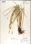 000010716-thumbnail.jpg