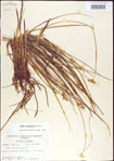 000010717-thumbnail.jpg