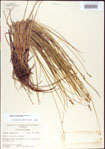 000010719-thumbnail.jpg