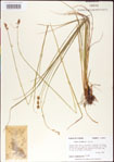 000010720-thumbnail.jpg