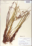 000010721-thumbnail.jpg