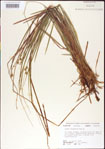 000010723-thumbnail.jpg