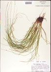 000010725-thumbnail.jpg