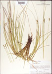 000010726-thumbnail.jpg
