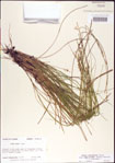 000010727-thumbnail.jpg