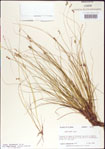 000010728-thumbnail.jpg