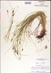 000010731-thumbnail.jpg