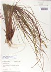000010732-thumbnail.jpg