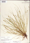 000010734-thumbnail.jpg