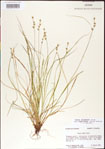 000010735-thumbnail.jpg