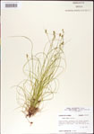 000010736-thumbnail.jpg