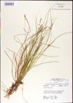 000010737-thumbnail.jpg