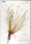 000010738-thumbnail.jpg