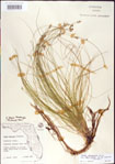 000010739-thumbnail.jpg
