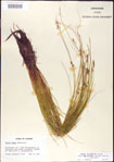 000010740-thumbnail.jpg
