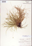000010741-thumbnail.jpg