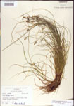 000010742-thumbnail.jpg