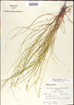 000010743-thumbnail.jpg
