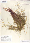 000010744-thumbnail.jpg