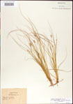 000010745-thumbnail.jpg