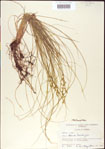 000010746-thumbnail.jpg