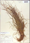 000010747-thumbnail.jpg