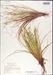000010748-thumbnail.jpg