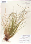 000010749-thumbnail.jpg