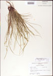 000010750-thumbnail.jpg