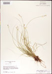 000010751-thumbnail.jpg
