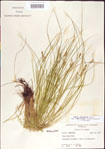 000010752-thumbnail.jpg