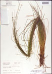 000010753-thumbnail.jpg