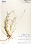 000010755-thumbnail.jpg