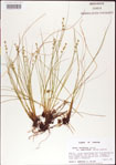 000010756-thumbnail.jpg
