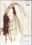 000010757-thumbnail.jpg