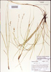 000010758-thumbnail.jpg