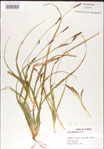 000010760-thumbnail.jpg